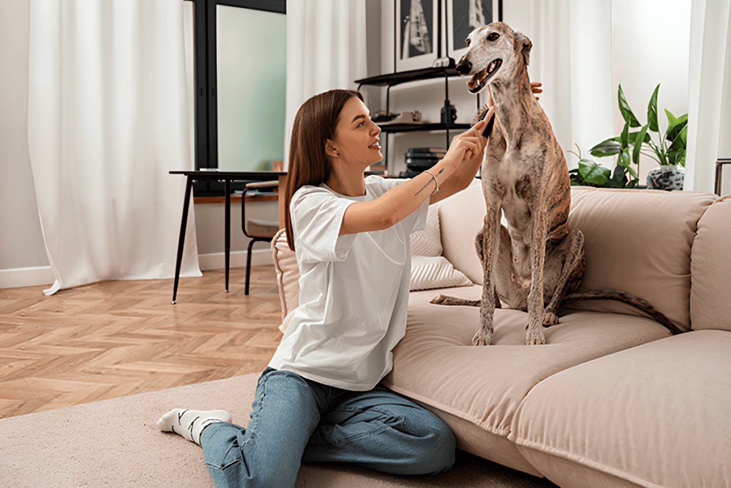 Departamentos pet friendly: 5 beneficios de vivir en uno